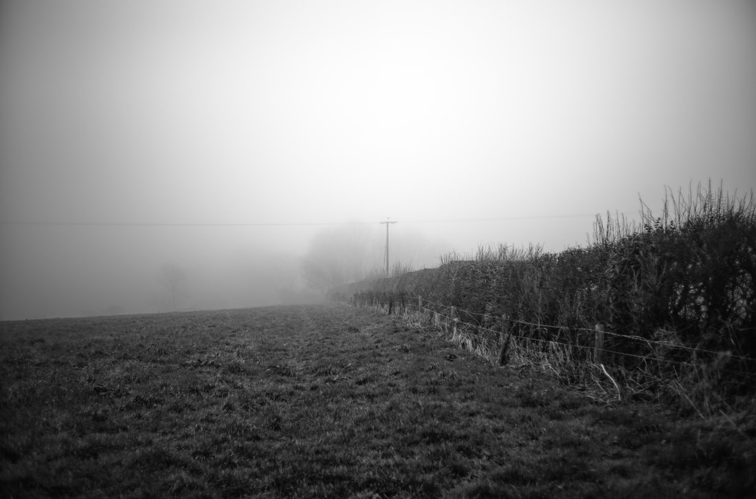 StevenSeidenberg-01_Neolithic